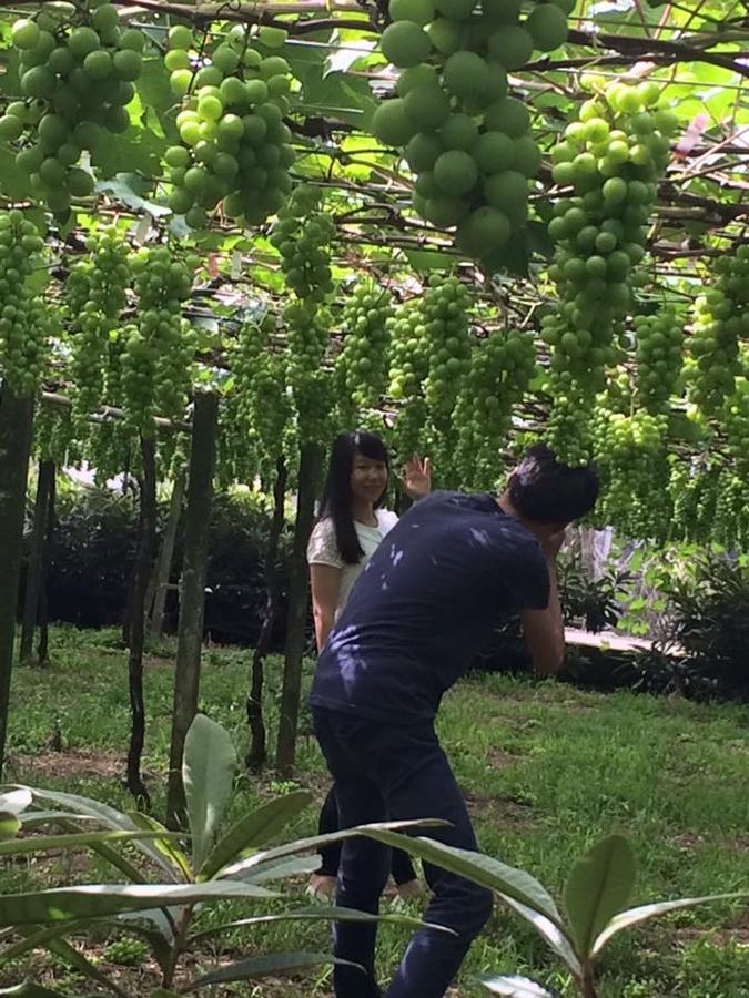 花田民宿 新社 外观 照片